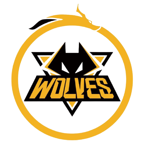 法律服务的 法律服务的